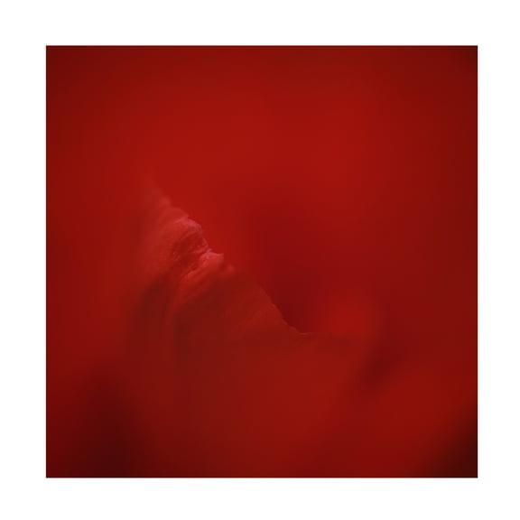 Lotte Gronkjar 'All Red' Canvas Art