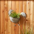 thumbnail image 3 of ROOSTER GALVANIZED WALL PLANTER, 3 of 3