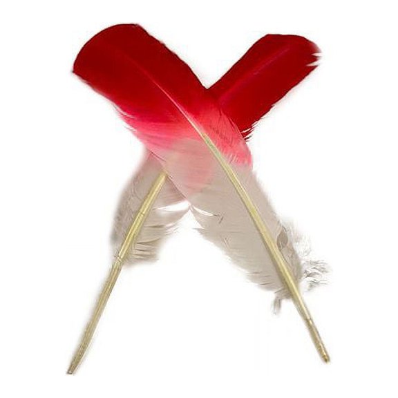 Ombr Turkey Quill Feathers 10-12 2 pc - Coral - White
