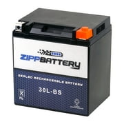 Zipp Battery Ytx30L-Bs Motorcycle Battery for Harley-Davidson Flh, Flt (Touring)