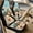 Beach Turtle Starfish Seashell Net, variant on Xoenoiee Koala Cherry Blossom Print 5 Pieces Car Seat Covers Full Set, PU Leather Auto Front Sear Covers, Shoulder Pad Protector, Center Console Armrest Cover for Truck SUV