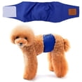 thumbnail image 1 of Pantalones Para Perros Pantalones De Seguridad Anti Acoso Perro Cachorro Ropa Para Mascotas Azul L ANGGREK Otros, 1 of 8