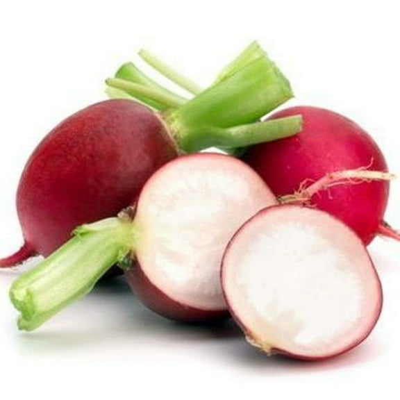 Easter Egg Radish Seeds/ Annual/ Full Sun/ 11K Seeds 1/4lb/ Zellajake Farm and Garden - B286