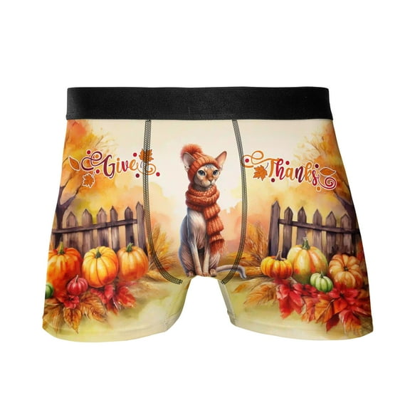 Happy Thanksgiving Sphynx Give Thanks Fall Beanie Scarf Welcome All Over Print Boxer Briefs Underwear for Men Dad Cat Lover Kitten Owner Gifts Idea - 00020