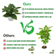 thumbnail image 5 of 4 Macetas Plantas Artificiales Macetas Decorativas Bonsai Belug, Blanco, 5 of 5