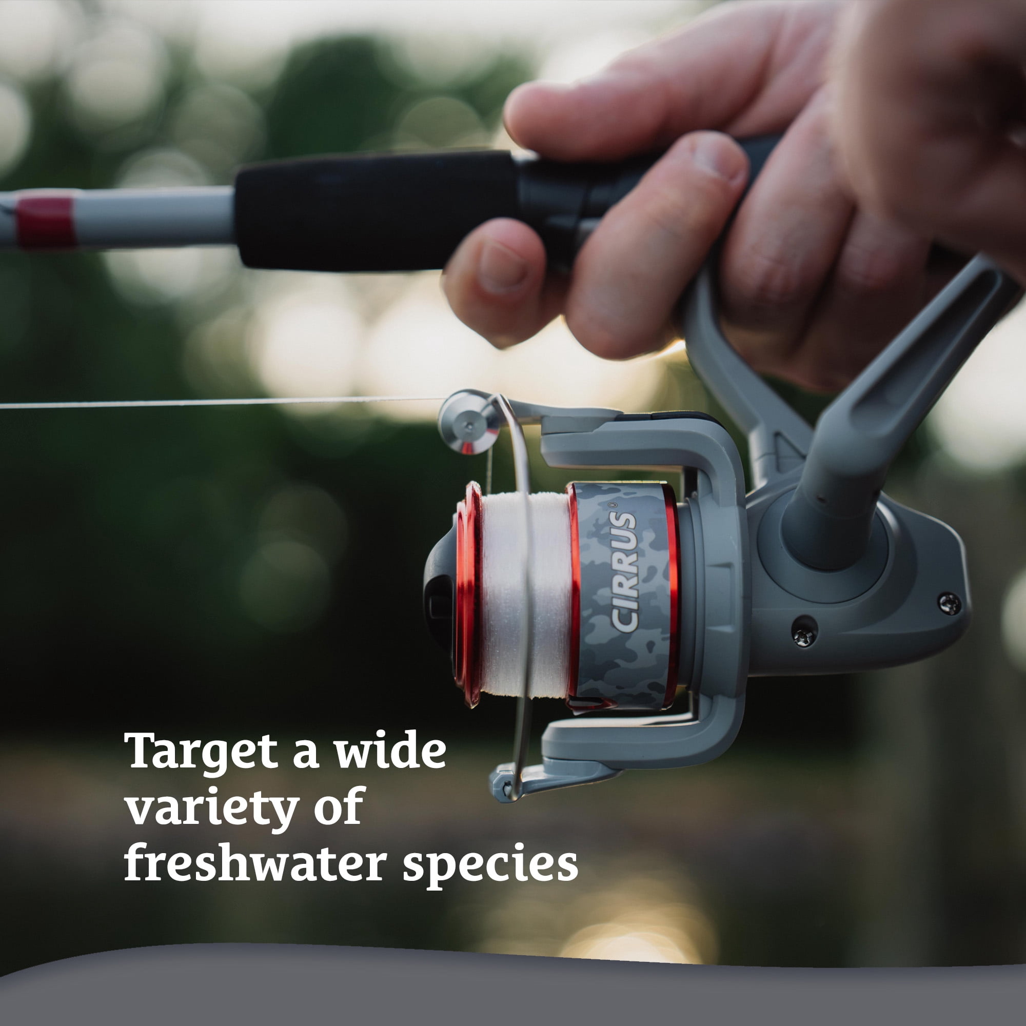 Shakespeare Cirrus® Spinning Combo, 7'6" 2-pc Medium Fishing Rod, 40-Size Reel