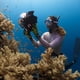 thumbnail image 4 of Guantes de buceo Guantes de buceo elásticos Cómodos equipos para deportes acuáticos Wdftyju Para Estrenar, 4 of 6