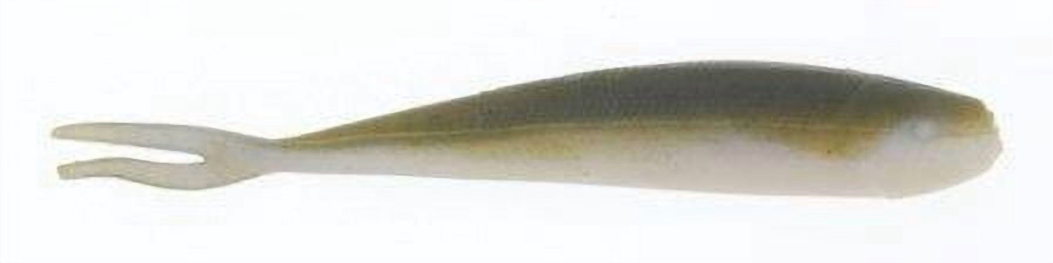 (2 pack) Berkley Gulp! Minnow Soft Bait 2 1/2" Length, Watermelon Pearl, Fishing Lure