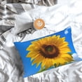 thumbnail image 5 of Pofeuu Blue Sky Sunflower Print Polyester Microfiber Plush Pillowcases, Super Soft and Cozy Pillow Case Covers with Envelop Closure（Pillow core not included）-20"x30", 5 of 6