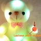 thumbnail image 4 of DQrwqpou Oso Peluche Con LED Funciona Con Pilas para Cumpleaños Día La Madre (blanco), 4 of 6