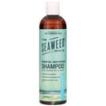 thumbnail image 1 of (2 Pack) The Seaweed Bath Co Shampoo,Moisturiz,Unsent 12 Fz, 1 of 2