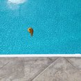 thumbnail image 4 of Termómetro flotante para piscina, medidor de temperatura de broma, termómetro de agua con forma de taburete creativo, 4 of 5