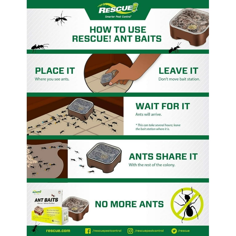RESCUE! Ant Bait Indoor 6 Bait Stations