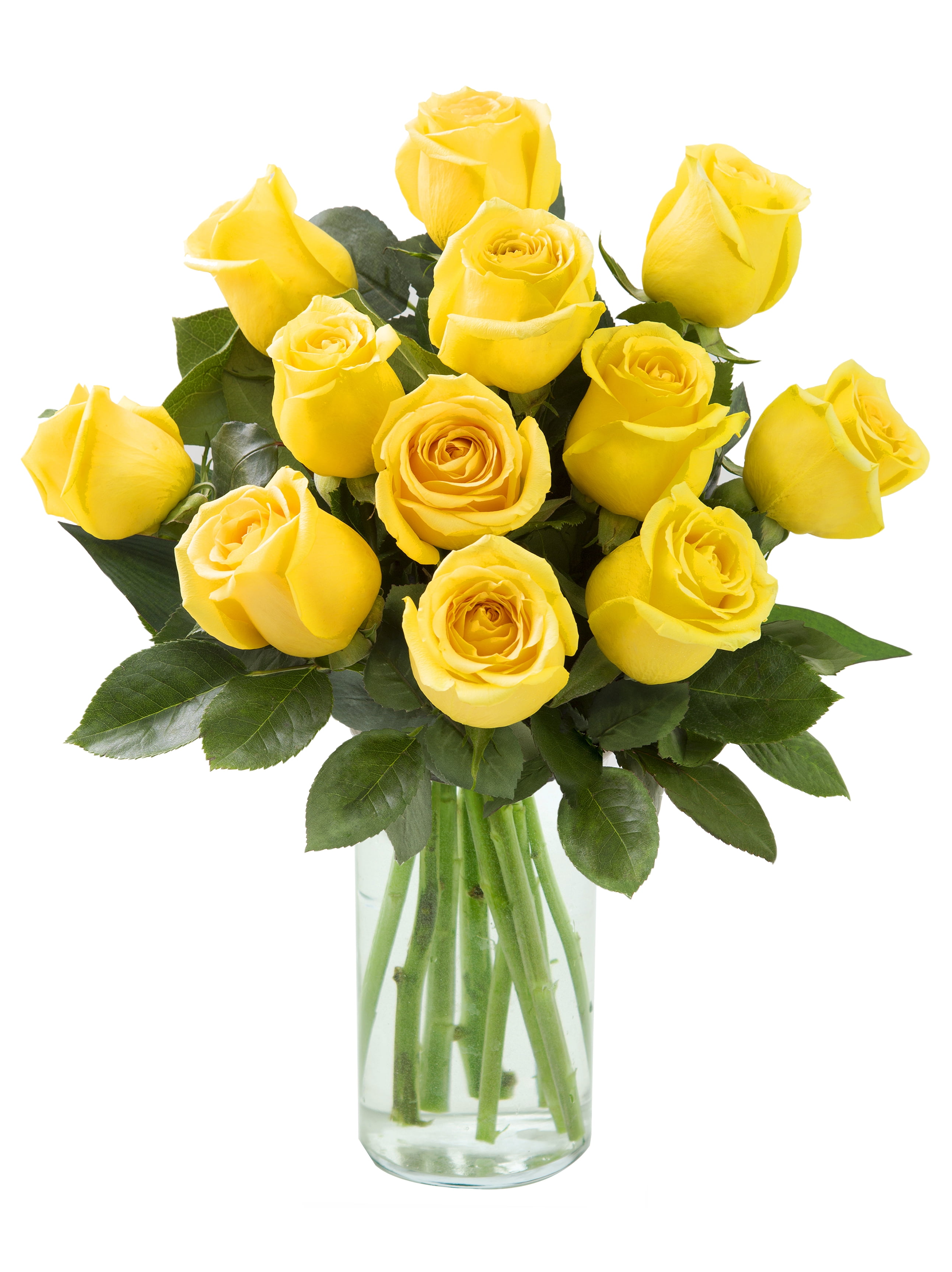 Arabella Farm Direct Bouquet Of 12 Fresh Cut Yellow Roses With Free