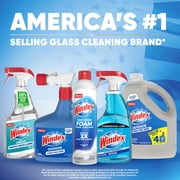 Windex Fast Shine Foam Glass, Window, and Mirror All Purpose Cleaner, No-Drip Aerosol Cleaning Spray, 19 oz