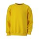 thumbnail image 1 of James and Nicholson - Sudadera infantil de cuello redondo para niños niñas (Amarillo Sol), 1 of 2