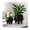 Black, variant on Decorative Round Planters with Ball Feet for Indoor and Outdoor Styling - Metal Iron Planters for Home and Mantel Display - Flower Pots for Patio and Garden Spaces - Set of 2, 9", 7", Black