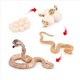 thumbnail image 5 of 8X Modelo BiolóGico del de Crecimiento de Animal Realista Juguetes Modelo BiolóGico de Crecimiento de la Serpiente de Crecimiento de la Cobra, 5 of 5
