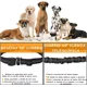 thumbnail image 5 of Correa Elastica Deportiva Para Perros Manos Libres Cangurera, 5 of 7