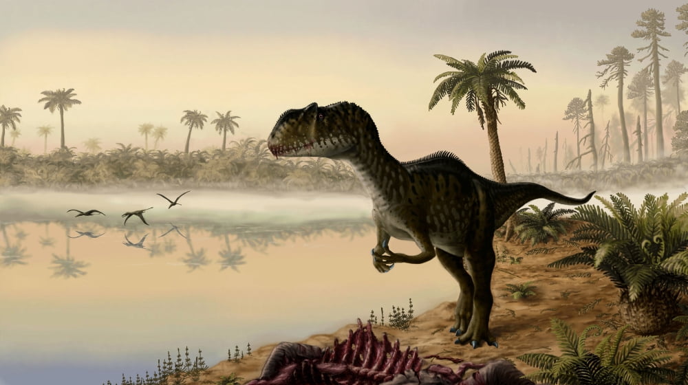 Yangchuanosaurus eats the carrion of a dead animal Canvas Art - Yuriy PriymakStocktrek Images (38 x 22)