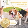 thumbnail image 2 of Small Dog Harness and Leash Set No Pull Puppy Harness Step-in Adjustable Puppy Cat Dog Vest Harnesses Soft Mesh Breathable Dog Harness Backpack Pet Harness for Puppies Small Medium Dogs, 2 of 7