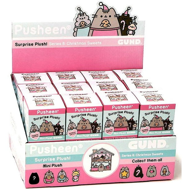 mystery box pusheen