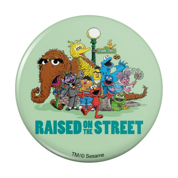 Sesame Street Raised on the Street Pinback Button Pin