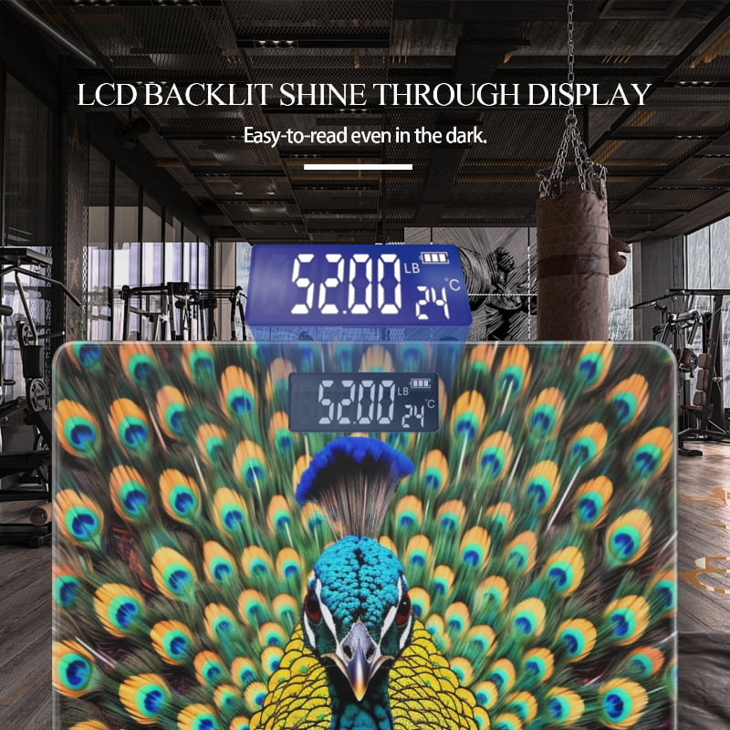 Digital Bathroom Scale with Large LCD Display,High Capacity Scale 400 lbs High Precision body fat scale-Beautiful Peacock Displaying Colorful Feathers
