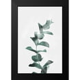 thumbnail image 2 of Prime, Marcus 11x14 Black Modern Framed Museum Art Print Titled - Misty Eucalyptus, 2 of 5