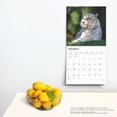 thumbnail image 5 of White Tigers 2025 12 X 24 Inch Monthly Square Wall Calendar Plastic-Free (Wall), 5 of 9