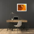 thumbnail image 3 of Tenoever, William 14x12 White Modern Wood Framed Museum Art Print Titled - BeeOnSunflower1, 3 of 4