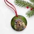 thumbnail image 6 of Chipmunk Face Christmas Tree Holiday Round Ceramic Ornament, 6 of 7