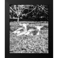 thumbnail image 2 of Straatsma, Leah 20x24 Black Modern Framed Museum Art Print Titled - Two Sheep, 2 of 5