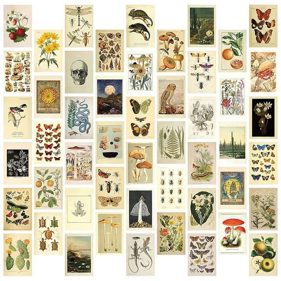 Vintage Aesthetic Wall Collage Kit - 50 Mini Botanical Collage Art Posters (4X6Inch), for Photo Wall