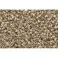 thumbnail image 1 of Woodland Scenics WS 1274 Fine Talus - Marron, 1 of 1