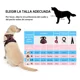 thumbnail image 5 of Pecheras Para Perros Con Correa Y Cinturón De Seguridad, 5 of 8