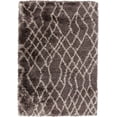 thumbnail image 4 of Surya RHA-1017 Shag Area Rug - Brown / Parchment, 4 of 5