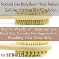 thumbnail image 2 of Dry Brushing Body Brush for Cellulite Body Brush for Back Natural Bristles Shower Brush with Long Handle Body Brush for Dry Brushing Natural Back Brush Long Handle for Shower, 2 of 9