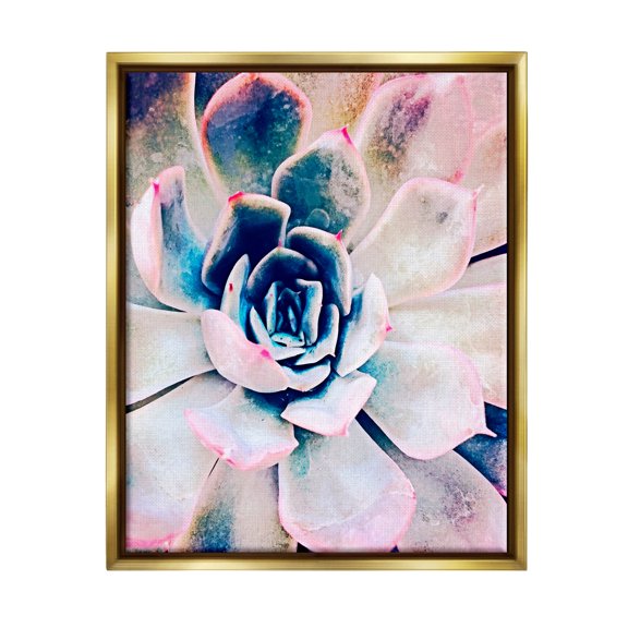Modern Succulent Plant View Botanical & Floral Photograph Metallic Gold Framed Art Print Wall Art