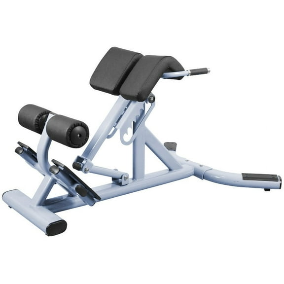 French Fitness FFS Silver 45 Degree Hyperextension Back Extension (New)