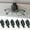 Black, variant on 6 PCS Sunglasses Holders for Car Sun Visor Magnetic Leather Sunglasses Clip for Car Visor-Black