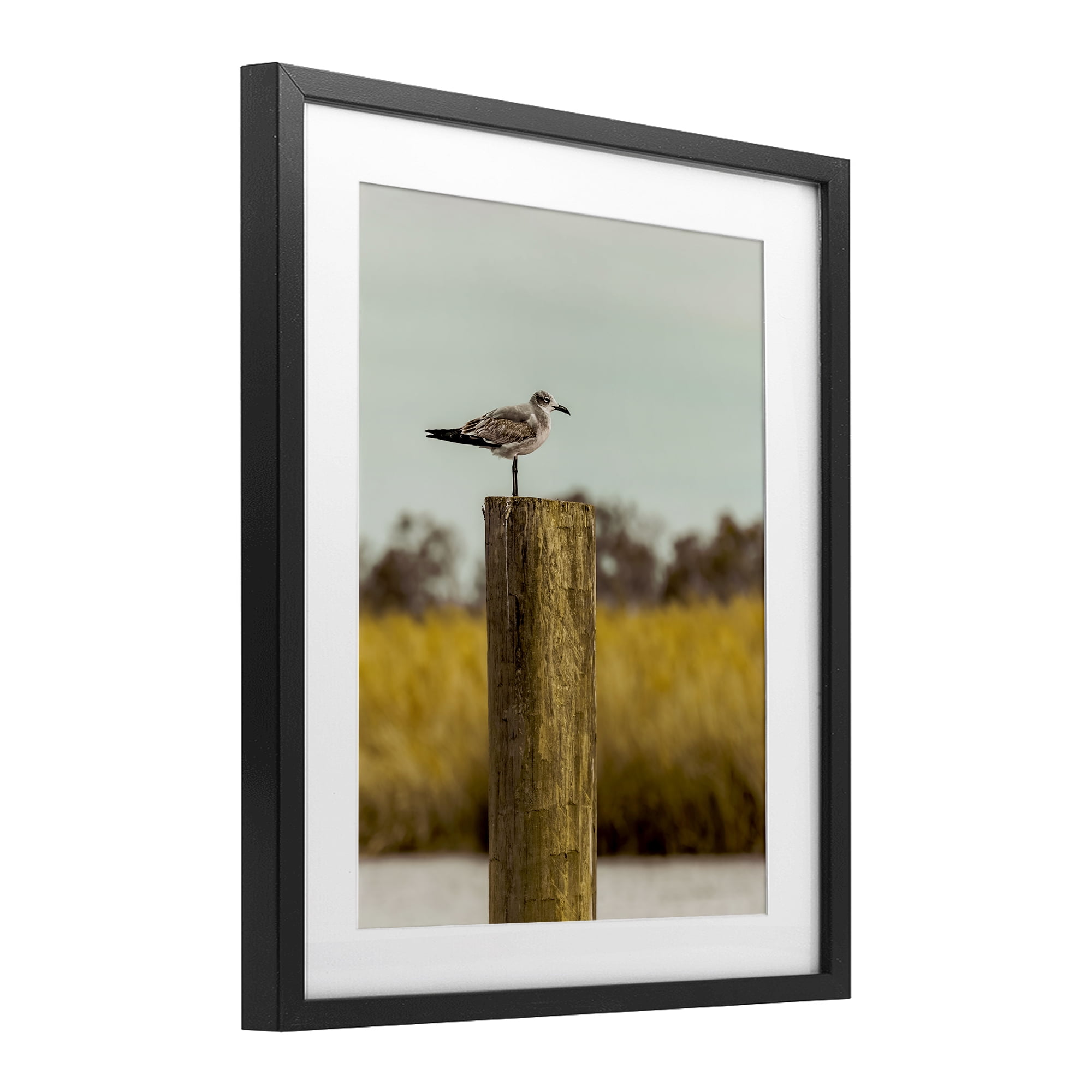 Stupell Industries Gull On Piling Black Framed Print Under Glass, design by Christy Berry