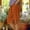 *Orange, variant on ClodeEU Women's Plaid Print Loose Fit Straight Leg Knee Length Shorts with Pockets and Side Slit Button,Casual Summer Bermuda Pants Orange,Womens Plus S