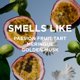 thumbnail image 4 of Perfume by Rosie Jane Matilda Eau De Parfum para mujer, 50 ml, 4 of 8
