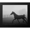 thumbnail image 2 of Anonymous 18x15 Black Modern Framed Museum Art Print Titled - Morning Pasture II, 2 of 5