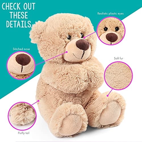 Peluches de Oso de Peluche de 10 pulgadas, Paquete de 2 Peluches de Oso Pequeño, Peluche p BenBen BenBen