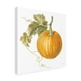 thumbnail image 2 of Trademark Fine Art 'Floursack Autumn VI on White' Canvas Art by Danhui Nai, 2 of 3