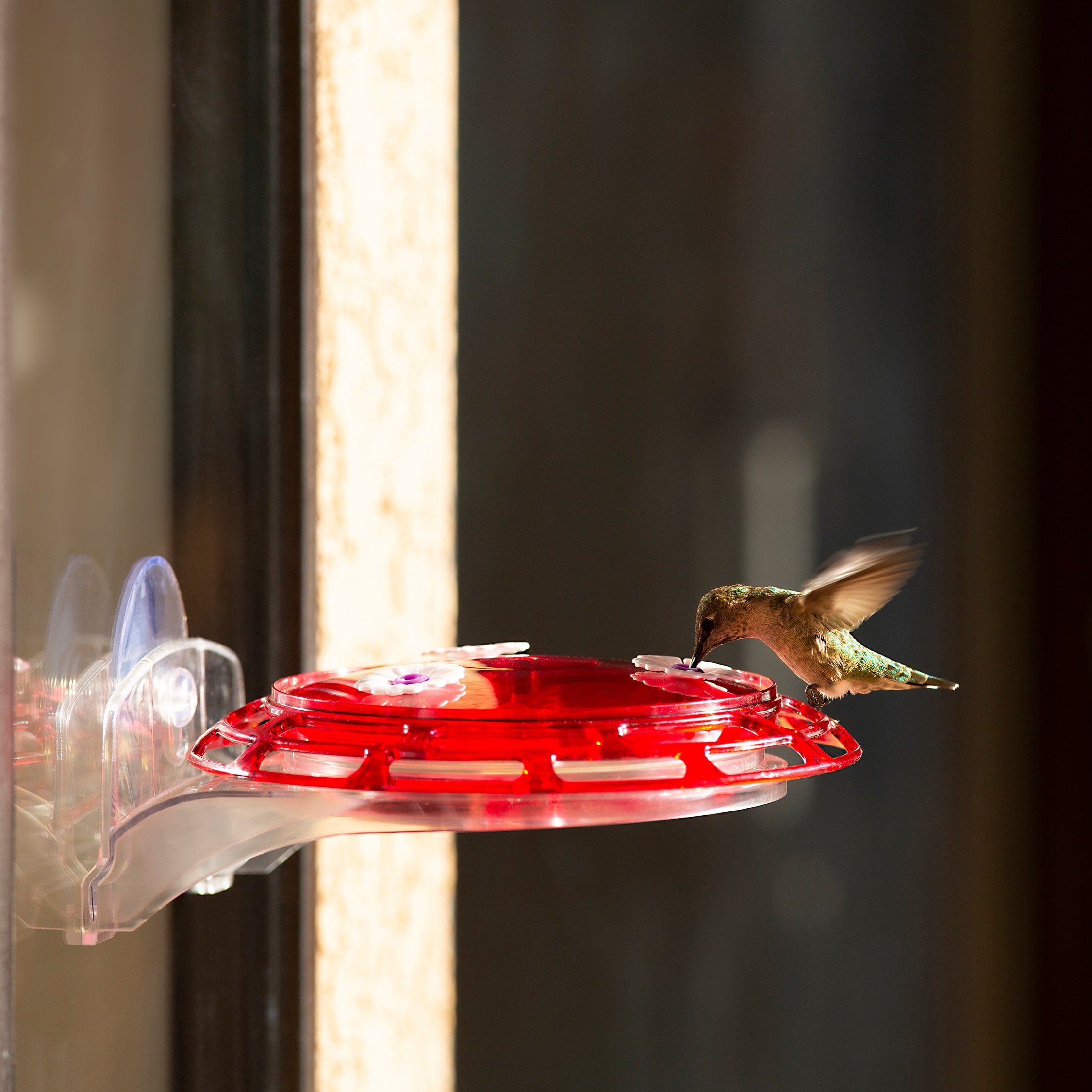 More Birds 3-in-1 Hummingbird Feeder, 6 oz Hummingbird