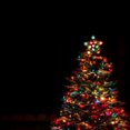 thumbnail image 2 of 2 Sets of 100 mini glass incandescent look indoor/outdoor LED light, green wire, multi, 2 of 3