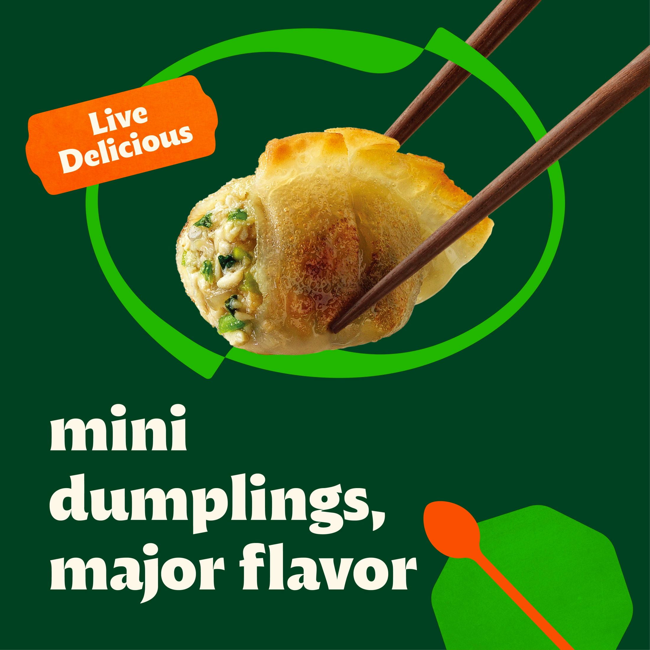Bibigo Frozen Mini Wontons Chicken & Vegetable Dumplings, 24.0 oz